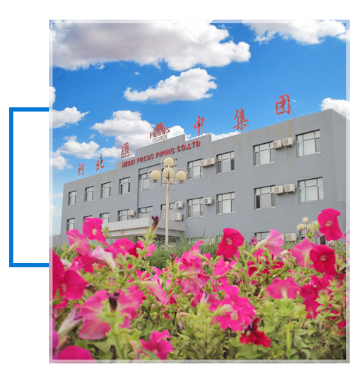 精品人妻伦九区久久AAA片69